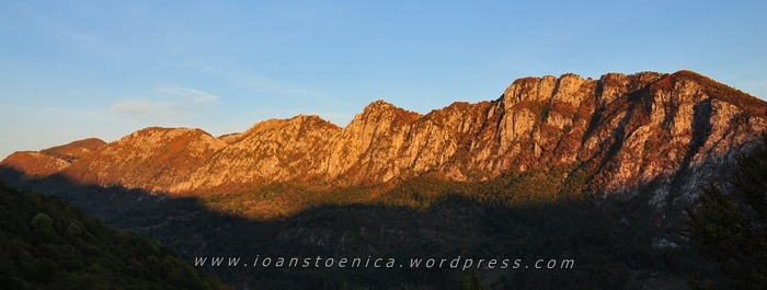 /Cerna/file0953.jpg