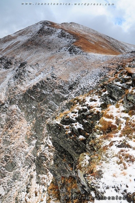 /Museteica/dsc_4657.jpg