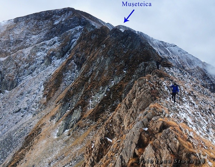 /Museteica/dsc_4791.jpg