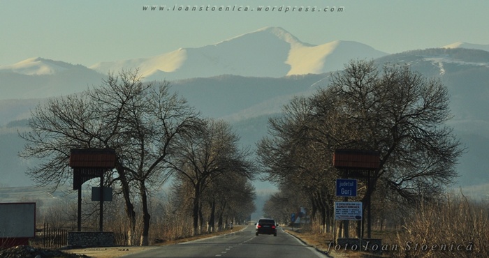 /RetezatIarna/dsc_0465.jpg
