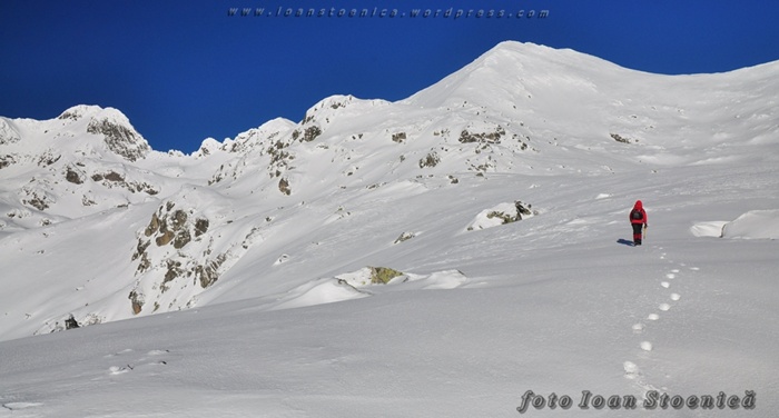 /RetezatIarna/dsc_0667.jpg