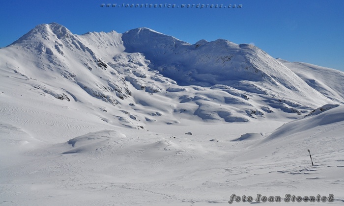 /RetezatIarna/dsc_0684.jpg