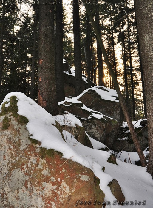 /Tarcau/dsc_0243.jpg