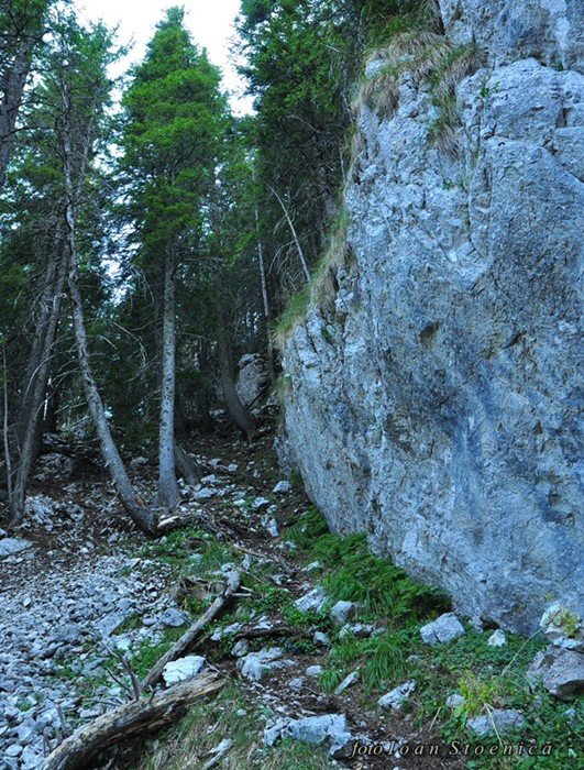 /ValeaPodurilor/dsc_7986.jpg