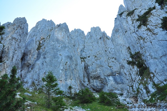 /ValeaPodurilor/dsc_8004.jpg