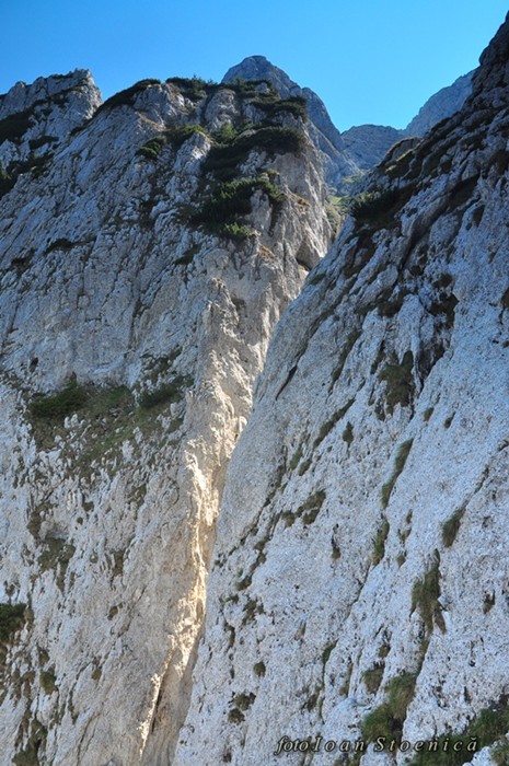 /ValeaPodurilor/dsc_8039.jpg