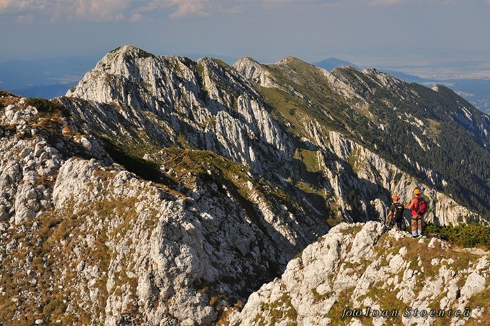 /ValeaPodurilor/dsc_8266.jpg