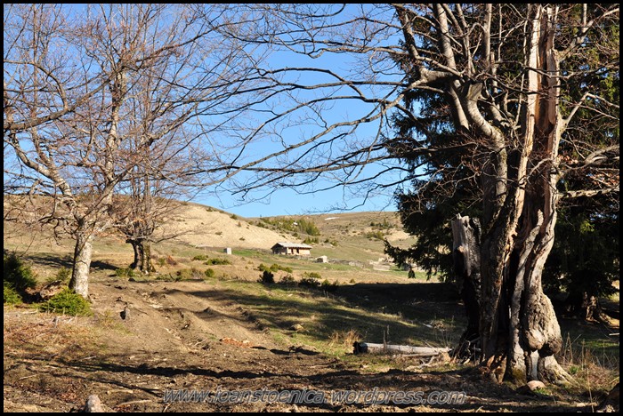 /ZboinaFrumoasa/dsc_3799.jpg