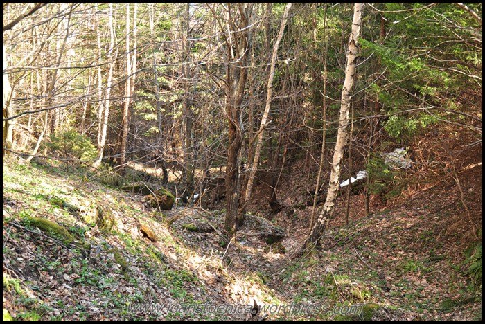 /ZboinaFrumoasa/dsc_4103.jpg