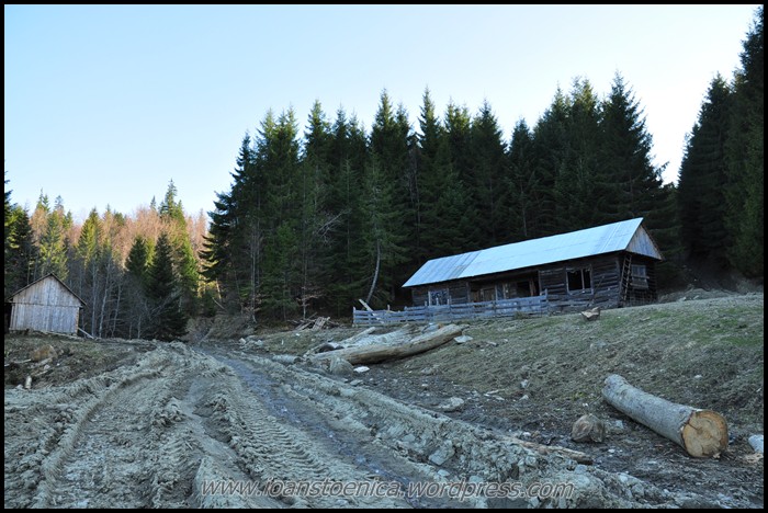 /ZboinaFrumoasa/dsc_4151.jpg