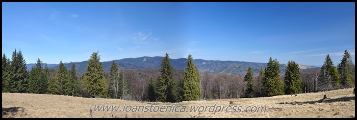 /ZboinaFrumoasa/panorama_poiana_prelunca.jpg