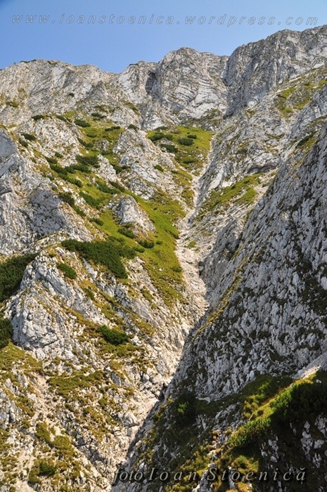 /Ziua3PC/dsc_8751.jpg