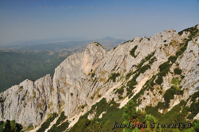 /Ziua3PC/dsc_8783.jpg