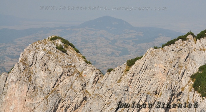 /Ziua3PC/dsc_8784.jpg