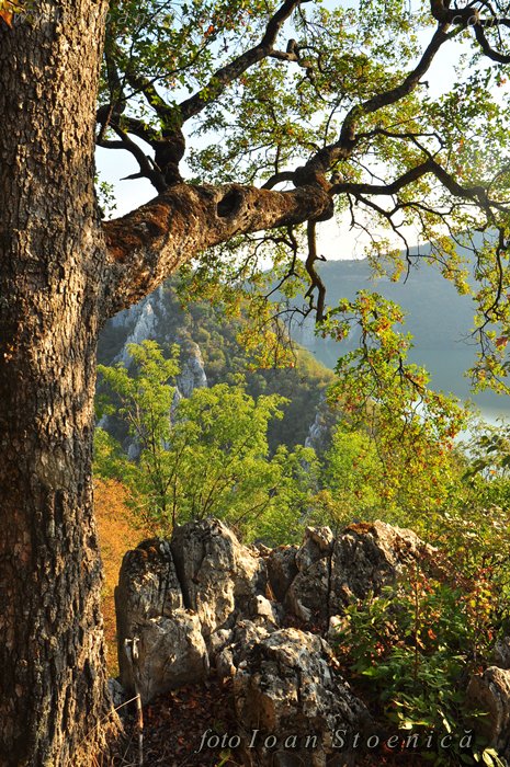/almajului/dsc_1529.jpg