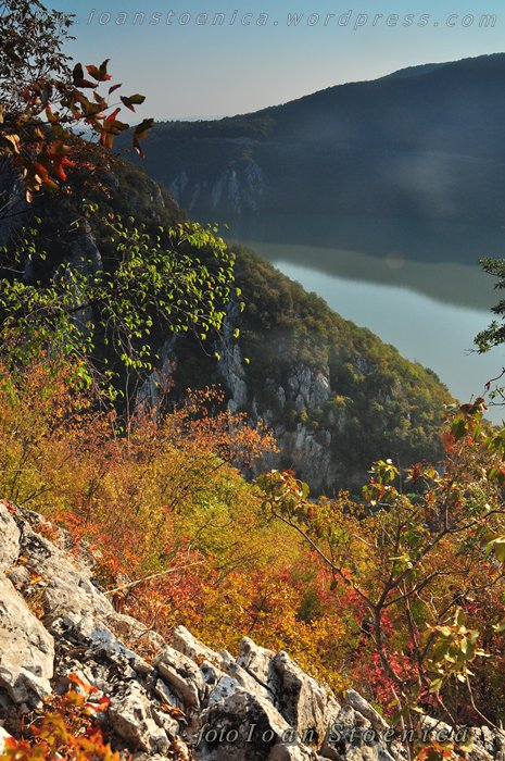 /almajului/dsc_1547.jpg