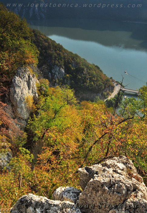 /almajului/dsc_1556.jpg