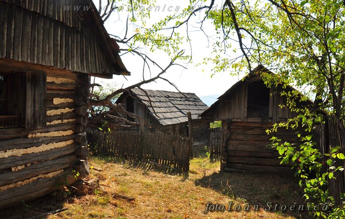 /almajului/dsc_1611.jpg