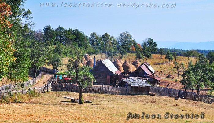 /almajului/dsc_1632.jpg