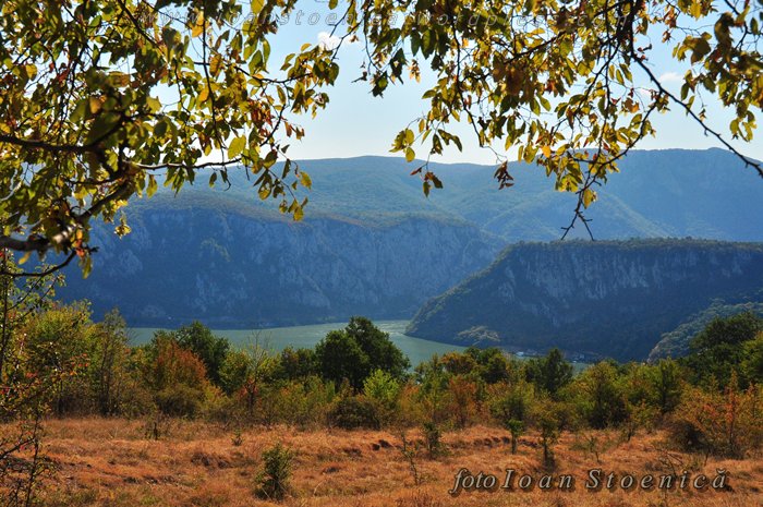 /almajului/dsc_1651.jpg