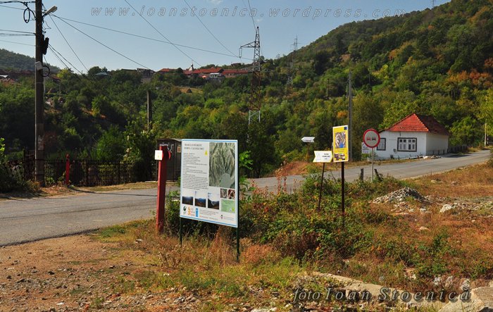 /almajului/dsc_1657.jpg