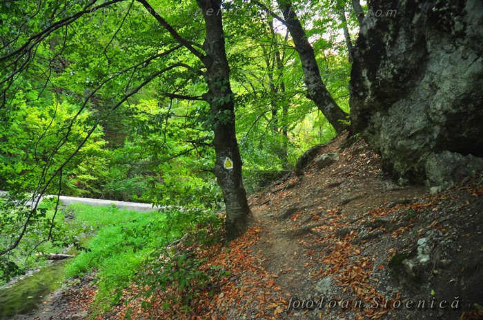 /almajului/dsc_1720.jpg