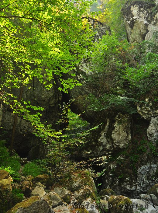/almajului/dsc_1722.jpg
