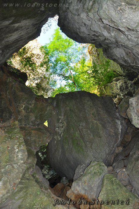 /almajului/dsc_1734.jpg