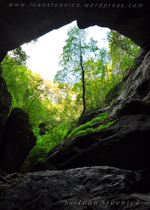 /almajului/dsc_1743.jpg