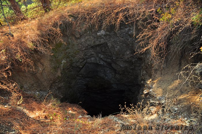 /almajului/dsc_1805.jpg