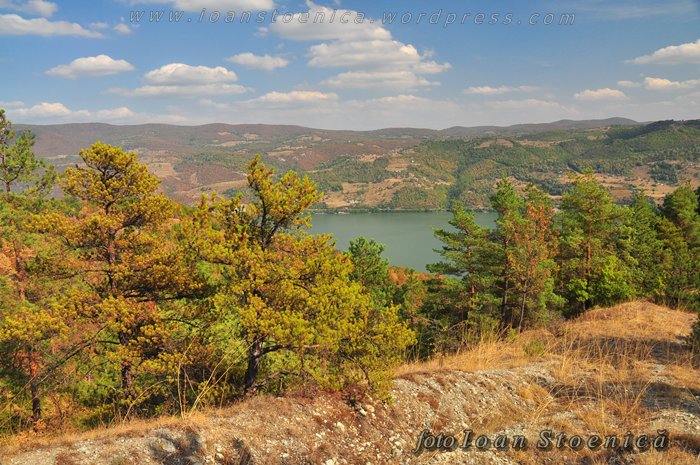 /almajului/dsc_1810.jpg