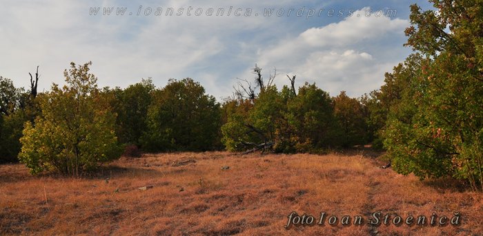 /almajului/dsc_1823.jpg