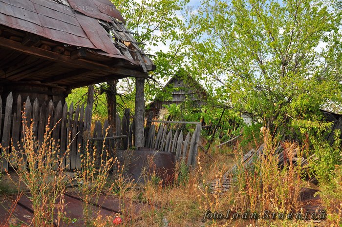 /almajului/dsc_1830.jpg