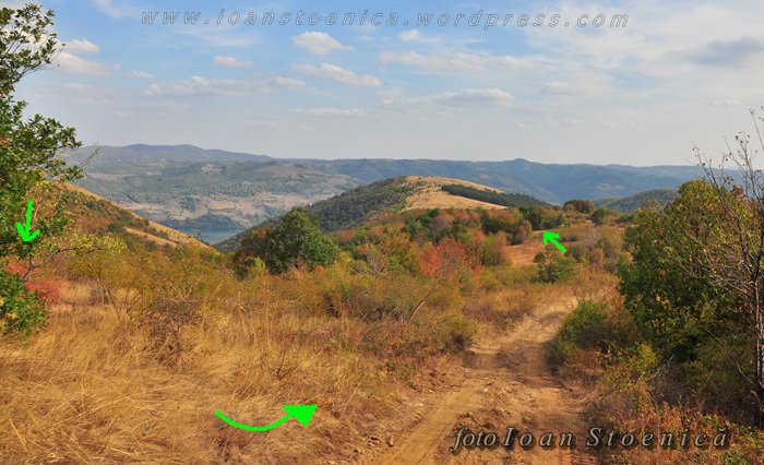 /almajului/dsc_1836.jpg