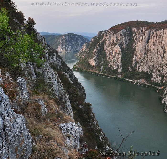 /almajului/dsc_1885.jpg