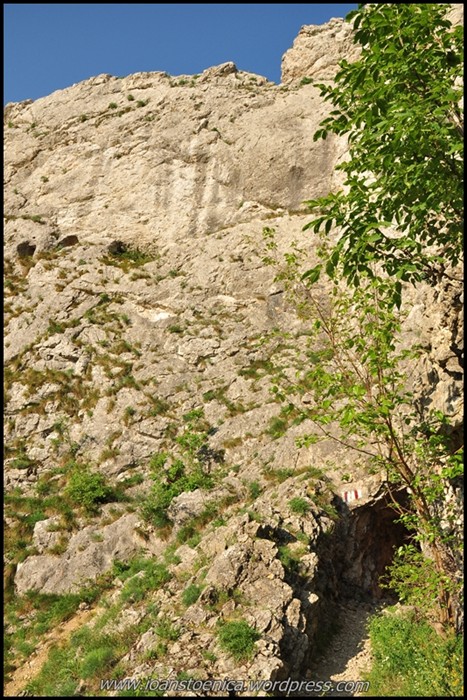 /cheileNerei/dsc_5917.jpg