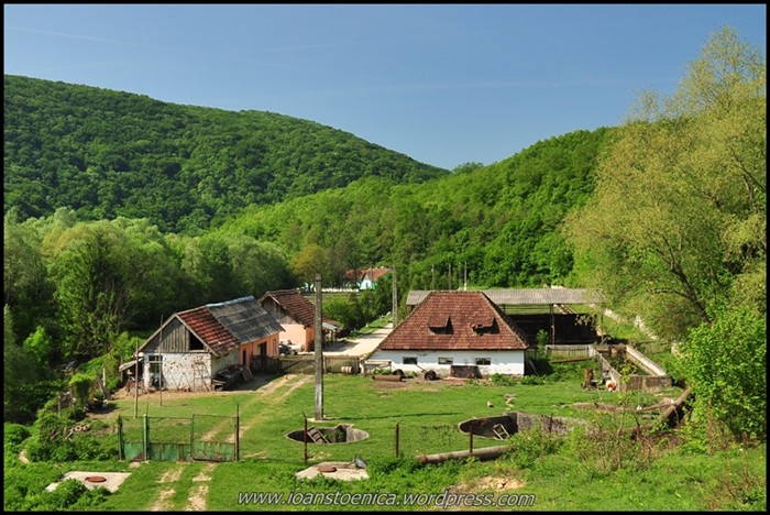 /cheileNerei/dsc_5987.jpg