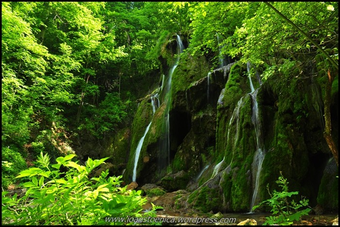 /cheileNerei/dsc_6037.jpg