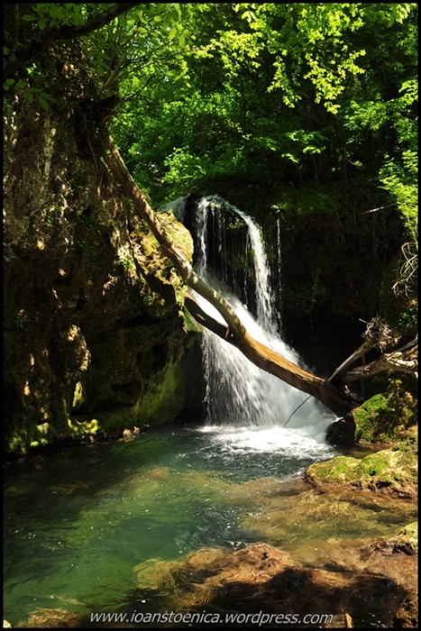 /cheileNerei/dsc_6098.jpg