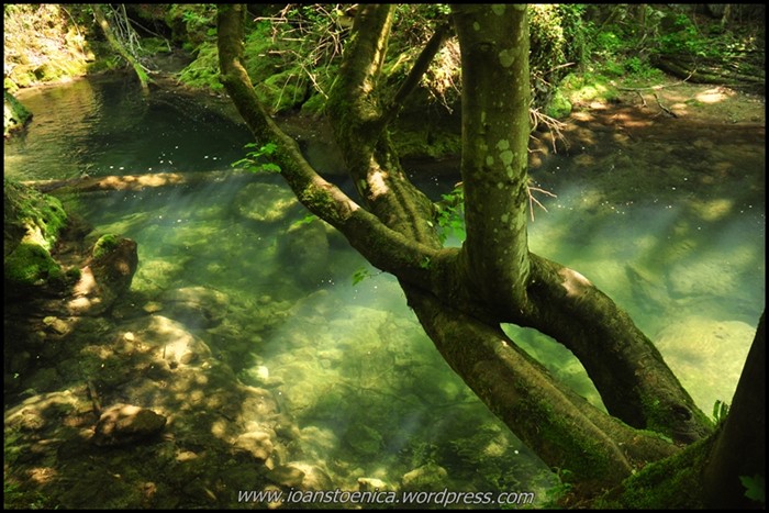/cheileNerei/dsc_6111.jpg