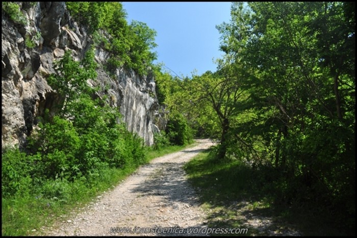 /cheileNerei/dsc_6113.jpg