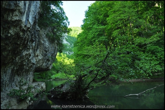 /cheileNerei/dsc_6140.jpg