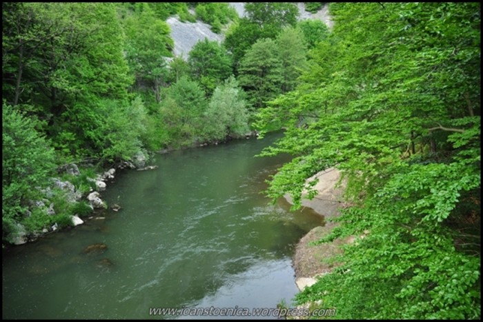 /cheileNerei/dsc_6263.jpg