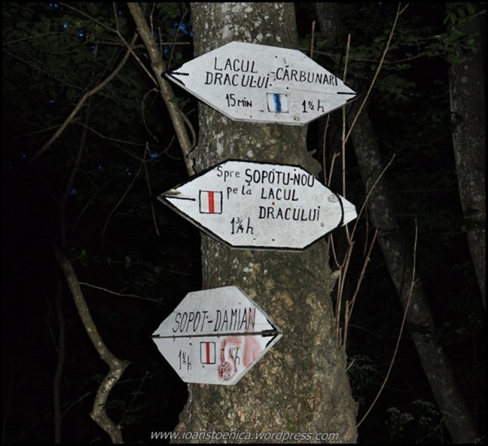 /cheileNerei/dsc_6269.jpg