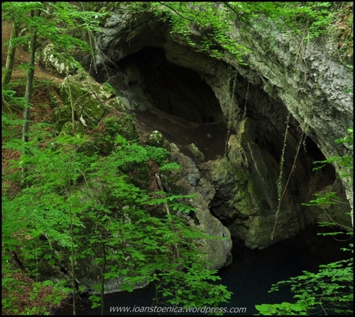 /cheileNerei/dsc_6322.jpg