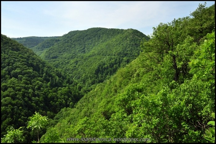 /cheileNerei/dsc_6434.jpg