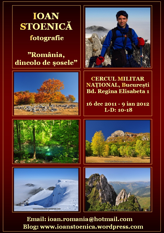 /diverse/poza_afis_ioan_stoenica_expo_cercul_militar_national_dec_2011.jpg