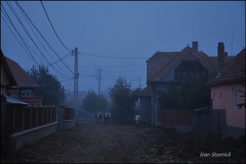 /harghita/dsc_5649.jpg