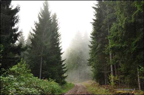 /harghita/dsc_5679.jpg