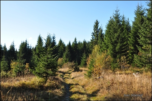 /harghita/dsc_5706.jpg